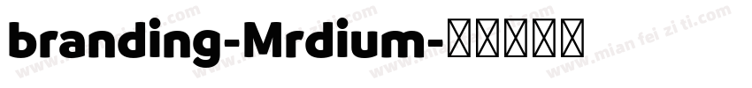 branding-Mrdium字体转换