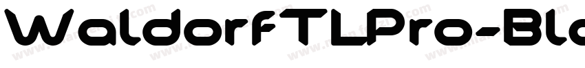 WaldorfTLPro-Black字体转换