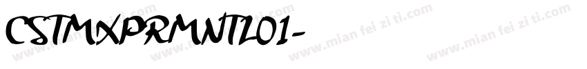 CSTMXPRMNTL01字体转换