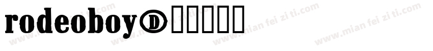 Rodeoboy字体转换