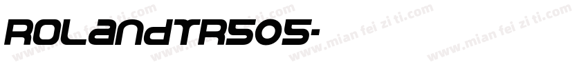RolandTR505字体转换