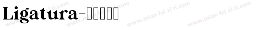 Ligatura字体转换