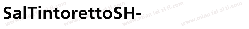 SalTintorettoSH字体转换