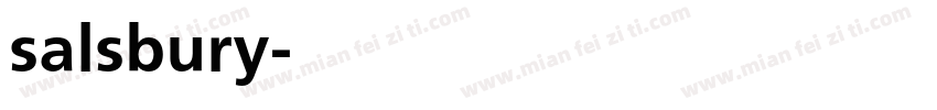 salsbury字体转换