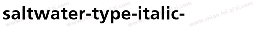 saltwater-type-italic字体转换