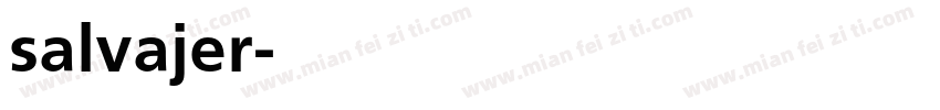 salvajer字体转换