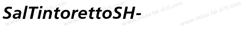 SalTintorettoSH字体转换