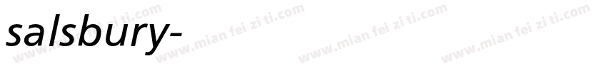 salsbury字体转换