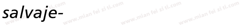 salvaje字体转换