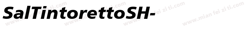 SalTintorettoSH字体转换