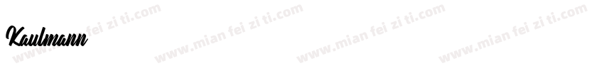 Kaulmann字体转换