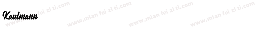 Kaulmann字体转换