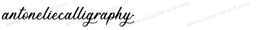 antoneliecalligraphy字体转换