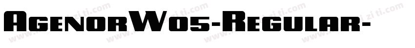 AgenorW05-Regular字体转换