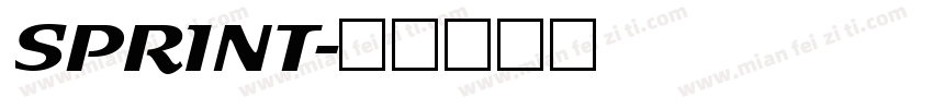 SPRINT字体转换