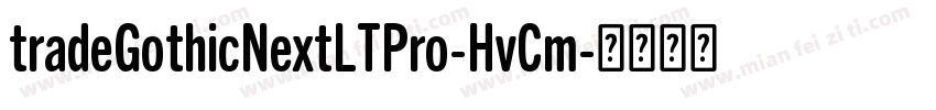tradeGothicNextLTPro-HvCm字体转换