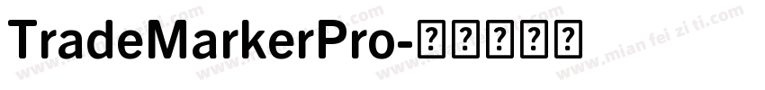 TradeMarkerPro字体转换