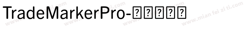 TradeMarkerPro字体转换