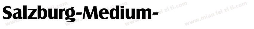 Salzburg-Medium字体转换