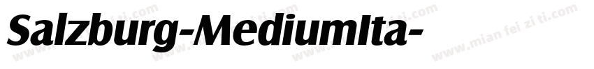 Salzburg-MediumIta字体转换