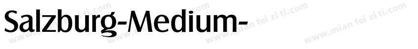 Salzburg-Medium字体转换