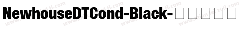 NewhouseDTCond-Black字体转换