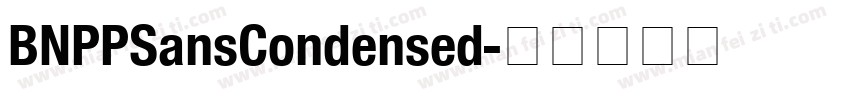 BNPPSansCondensed字体转换