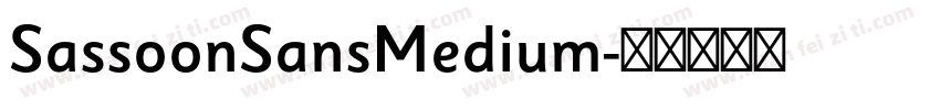 SassoonSansMedium字体转换