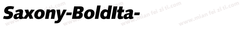 Saxony-BoldIta字体转换