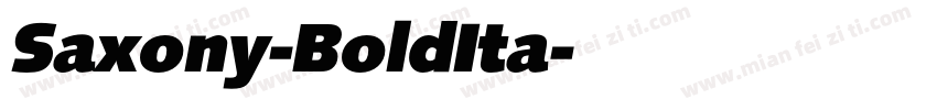 Saxony-BoldIta字体转换