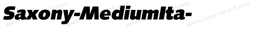 Saxony-MediumIta字体转换