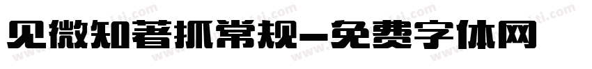 见微知著抓常规字体转换