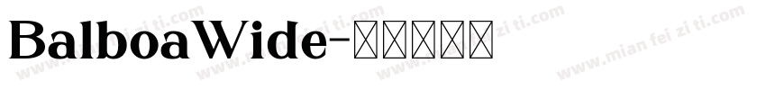 BalboaWide字体转换