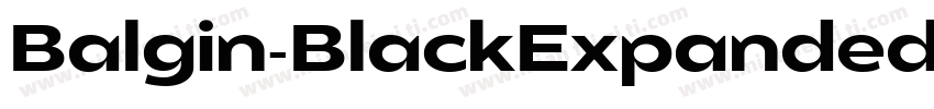 Balgin-BlackExpanded字体转换