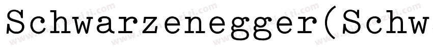 Schwarzenegger(Schwarzenegger)字体转换