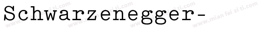 Schwarzenegger字体转换