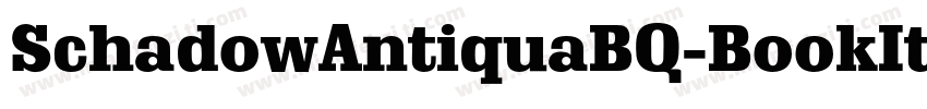 SchadowAntiquaBQ-BookItalic字体转换