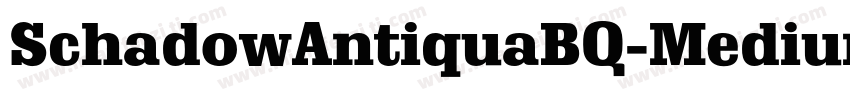 SchadowAntiquaBQ-Medium字体转换