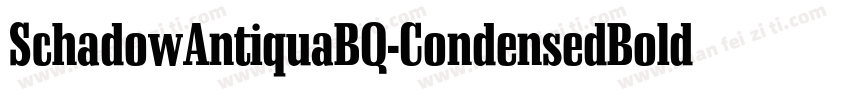 SchadowAntiquaBQ-CondensedBold字体转换