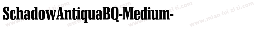 SchadowAntiquaBQ-Medium字体转换
