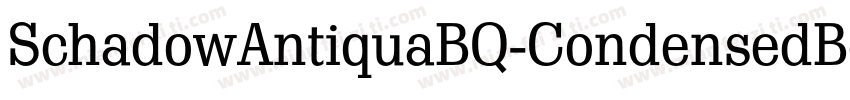 SchadowAntiquaBQ-CondensedBold字体转换