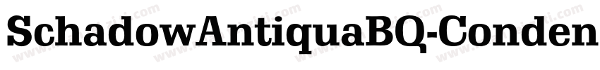 SchadowAntiquaBQ-CondensedBold字体转换