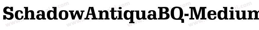 SchadowAntiquaBQ-Medium字体转换