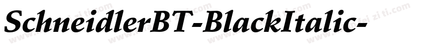 SchneidlerBT-BlackItalic字体转换