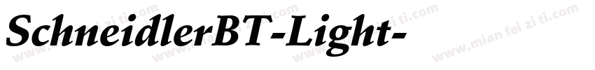 SchneidlerBT-Light字体转换