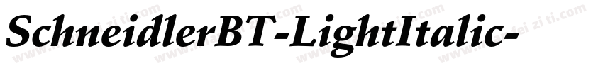 SchneidlerBT-LightItalic字体转换