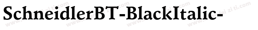 SchneidlerBT-BlackItalic字体转换