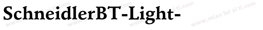 SchneidlerBT-Light字体转换