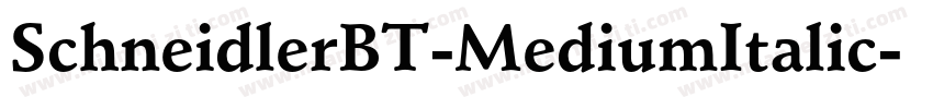 SchneidlerBT-MediumItalic字体转换