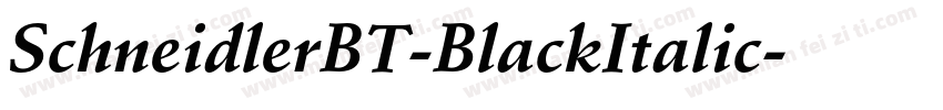 SchneidlerBT-BlackItalic字体转换